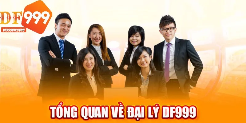 Đại lý DF999 cần đáp ứng đầy đủ các điều kiện